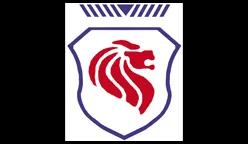 شرکت آرتاویل تایر